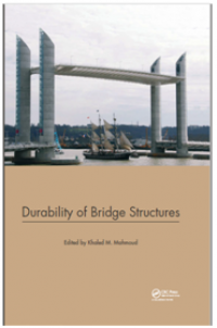 Durability of Bridge Structures